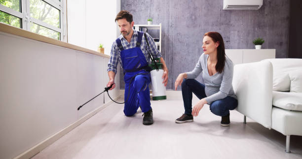 Best Residential Pest Control  in Everett, PA